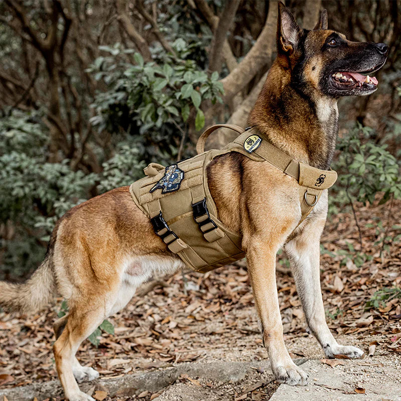 Metall k9 Dog Harness