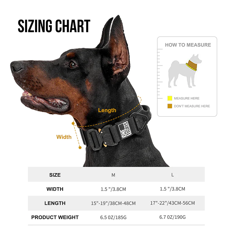 Cobra Buckle Dog Collar