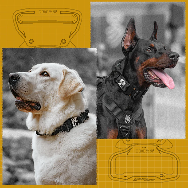 Cobra Buckle Dog Collar