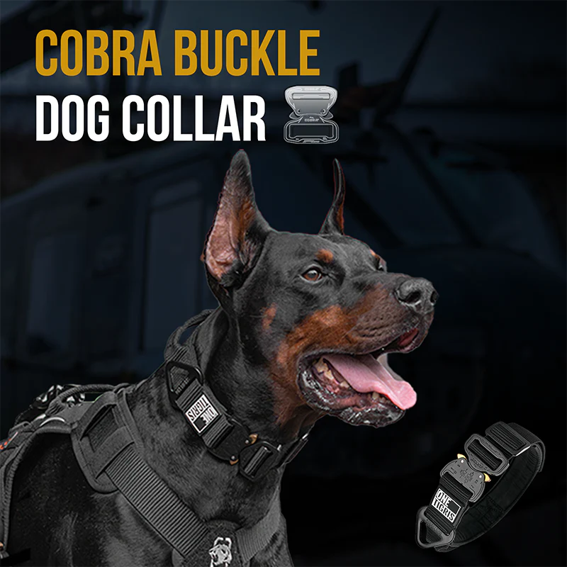 Cobra Buckle Dog Collar