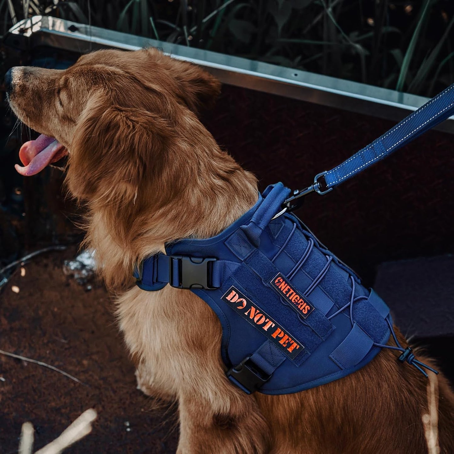 Fire Watcher Dog Harness 2.0 - Duraflex
