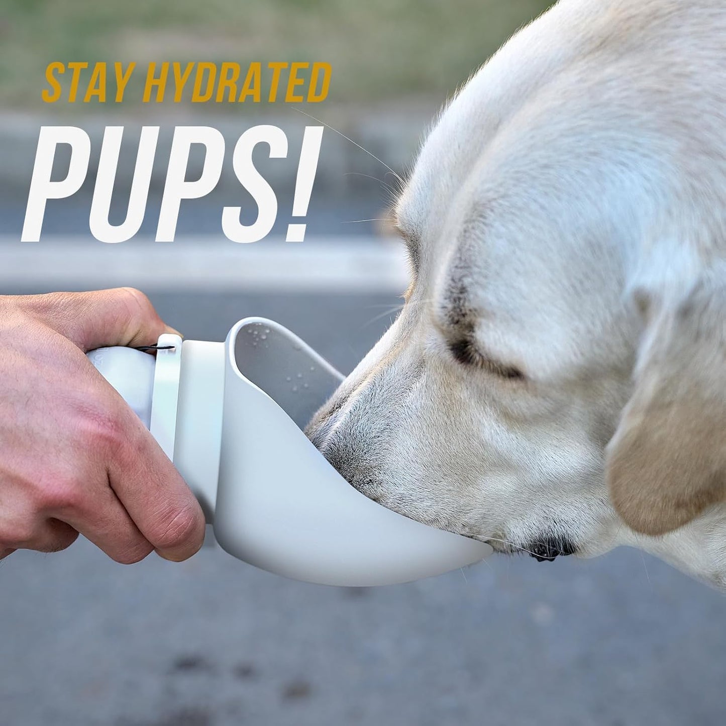 Botella de agua portátil para perro