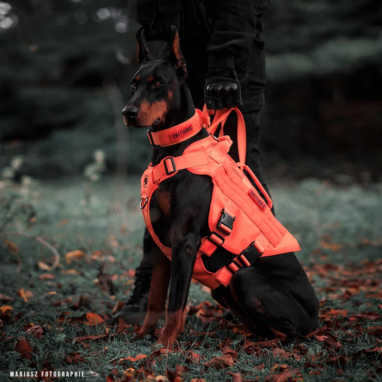 Aire Mesh Dog Harness OneTigris