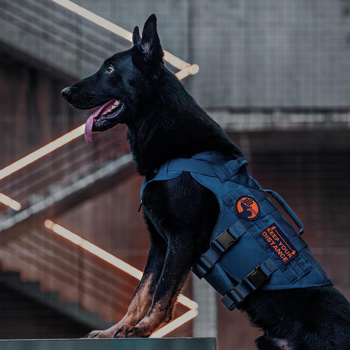 Aire Mesh Dog Harness OneTigris
