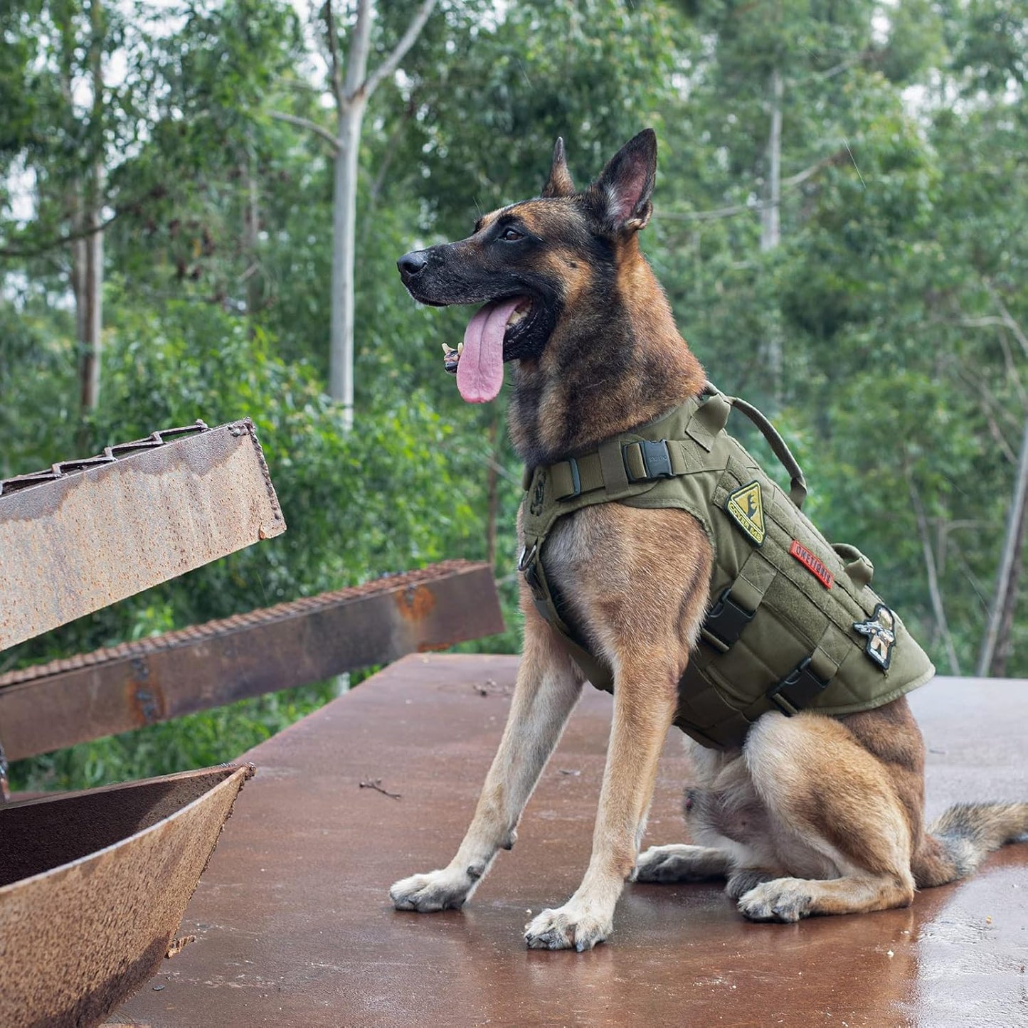 X Destroyer K9 Dog Harness