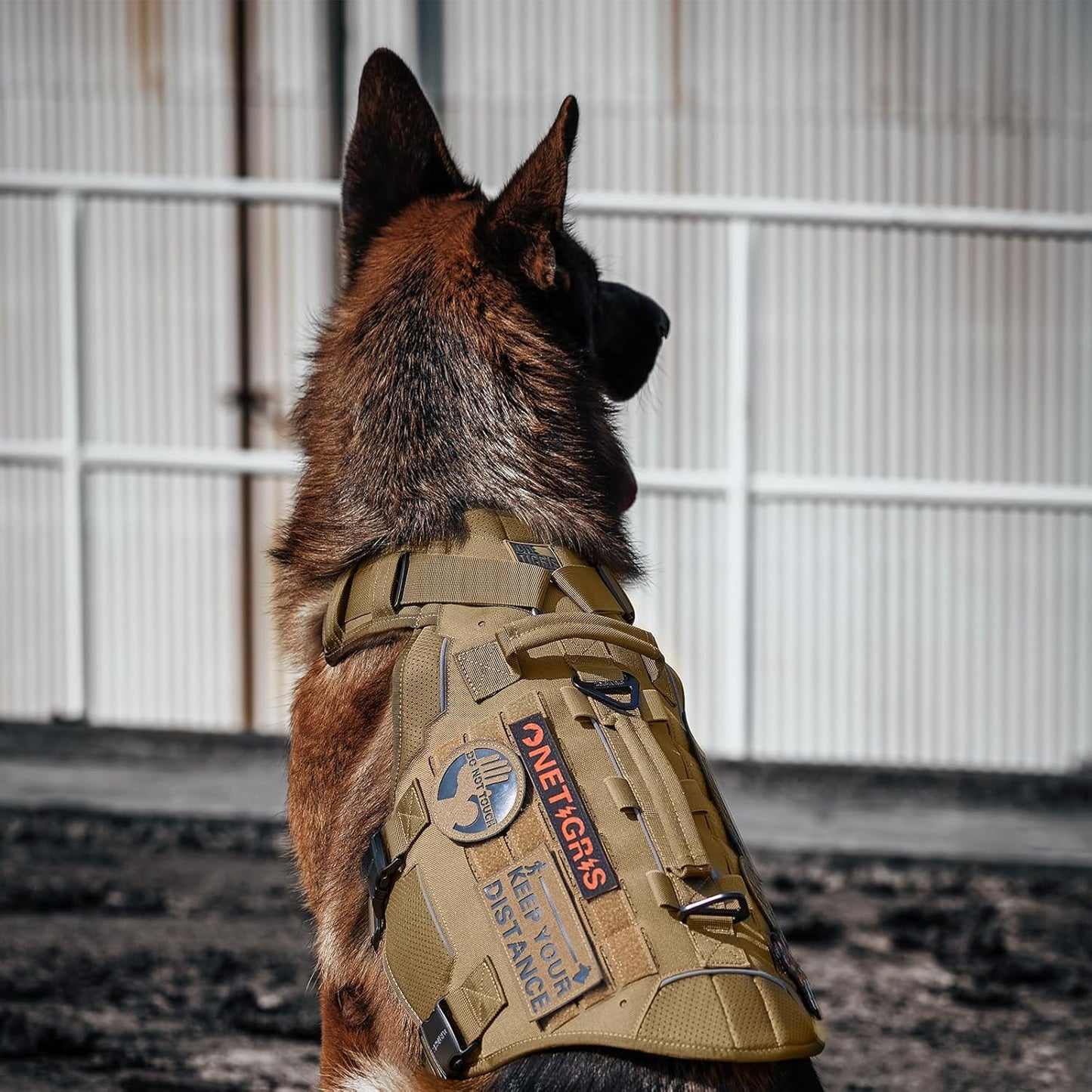 Torpedo Tactical Dog Harness