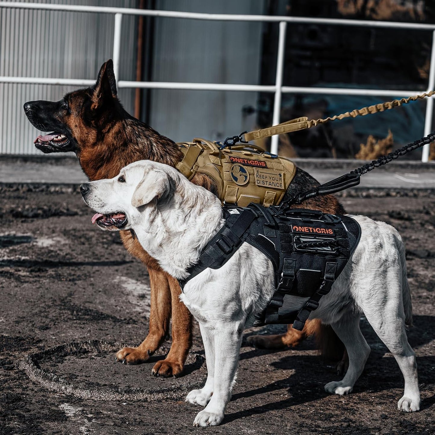 Torpedo Tactical Dog Harness