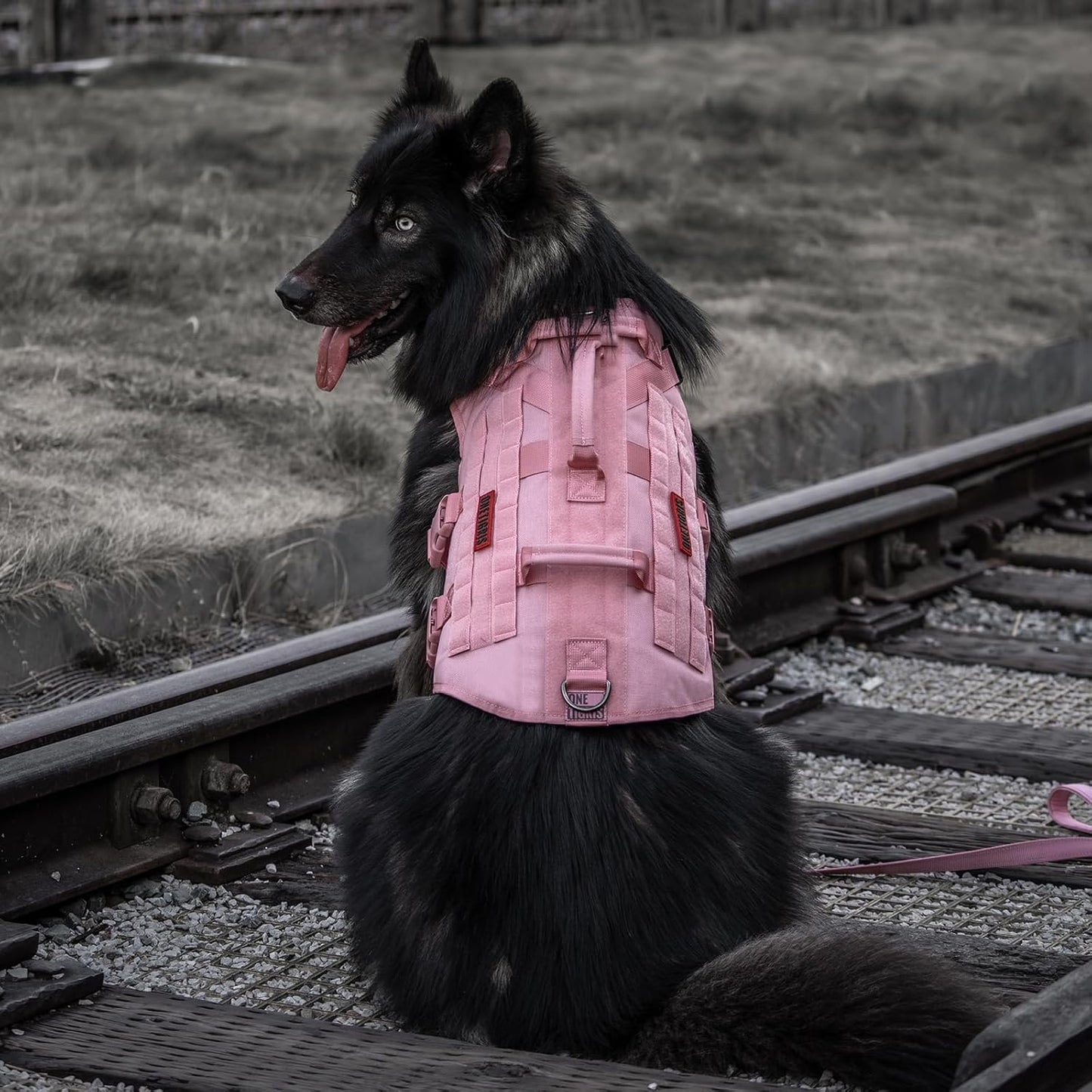 X Destroyer K9 Dog Harness
