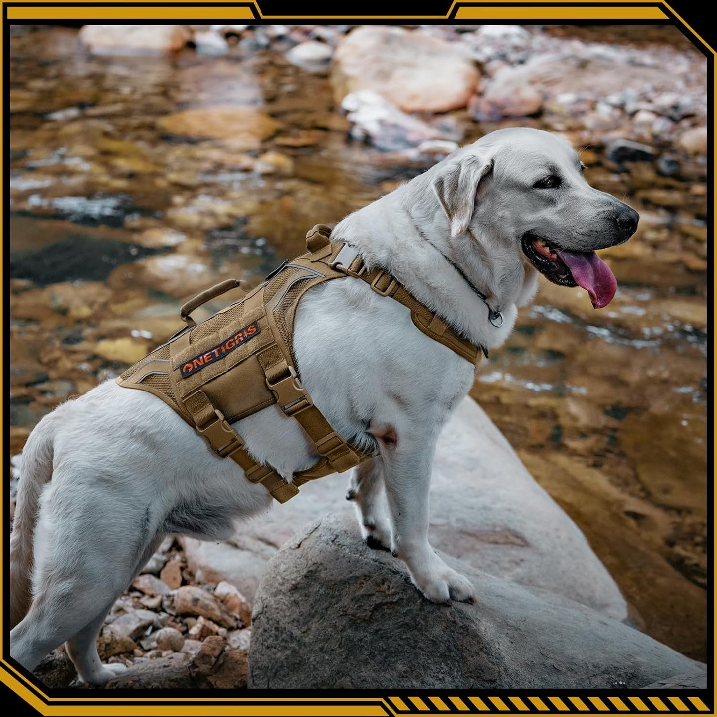 Aire Armor Mesh Dog Harness