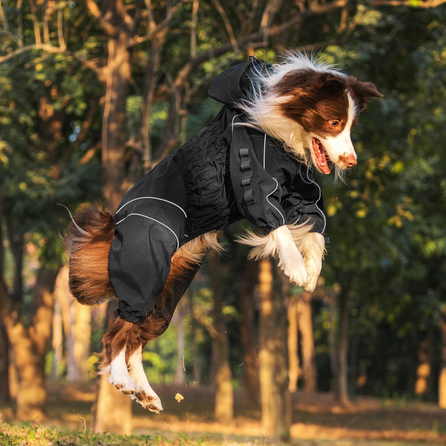 Riderstorm Rain Jacket