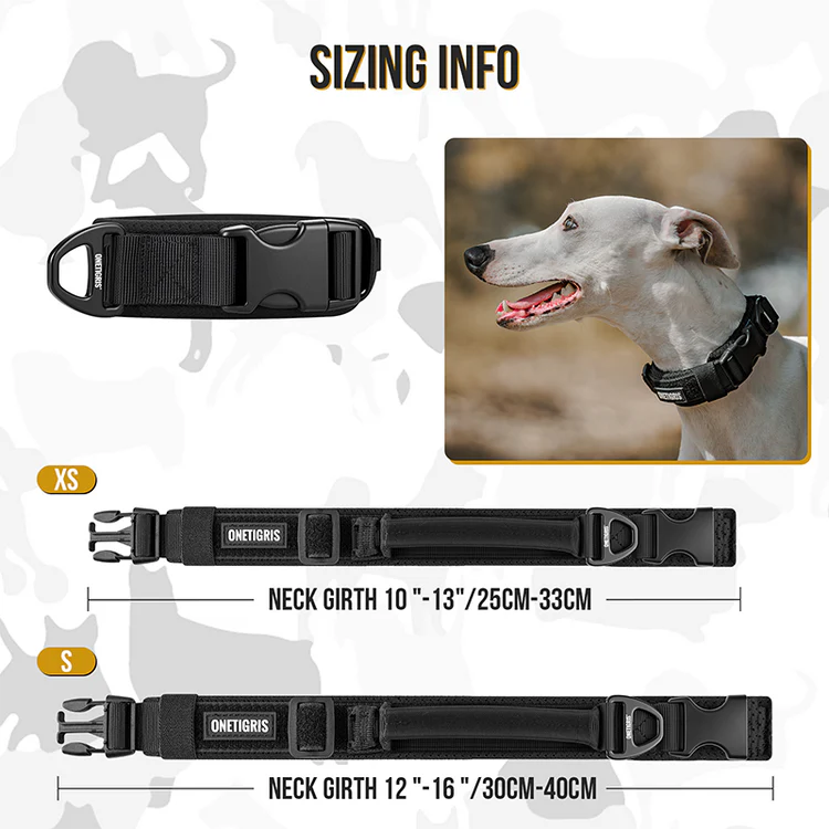 Small Dog Collar 18