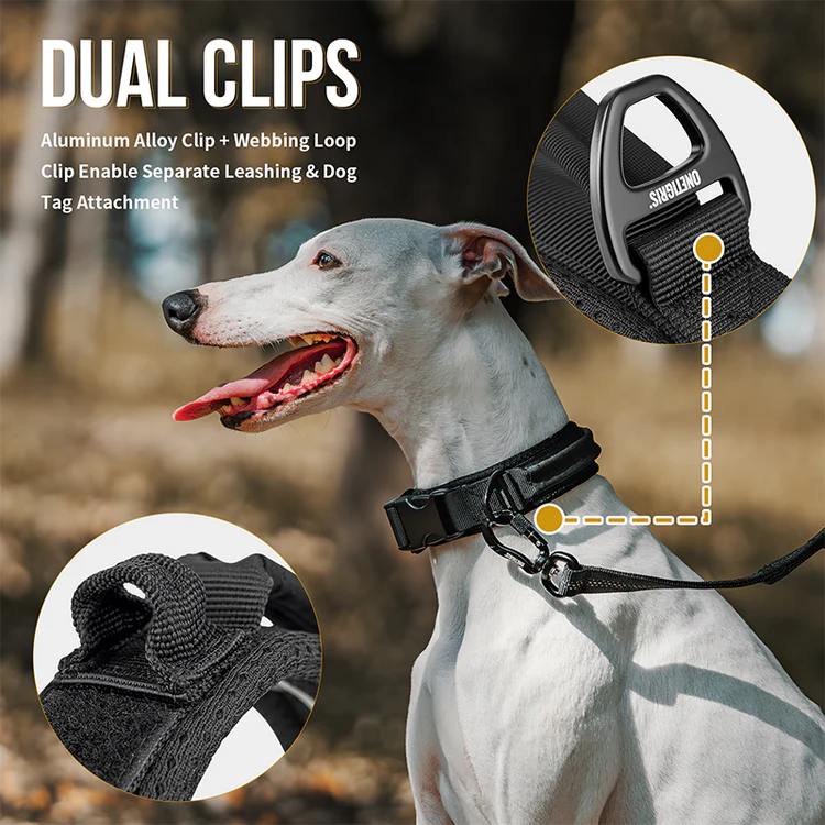 Small Dog Collar 18