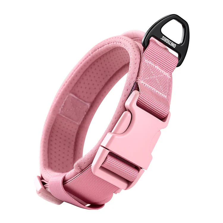 Small Dog Collar 18