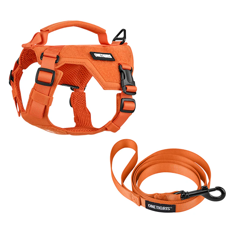 Mini Trooper dog harness