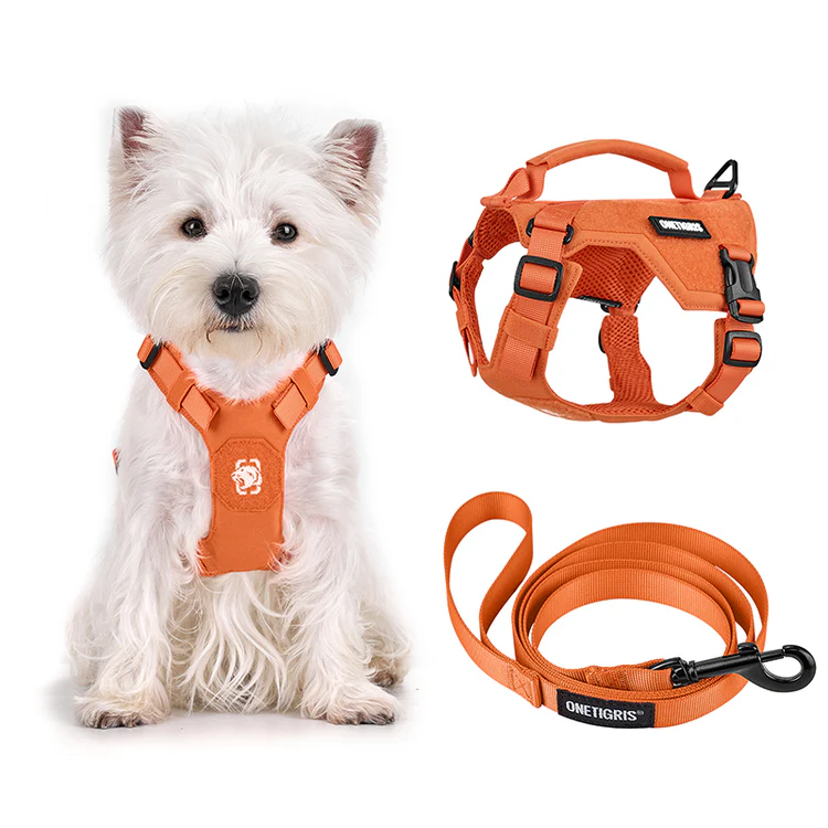 Mini Trooper dog harness
