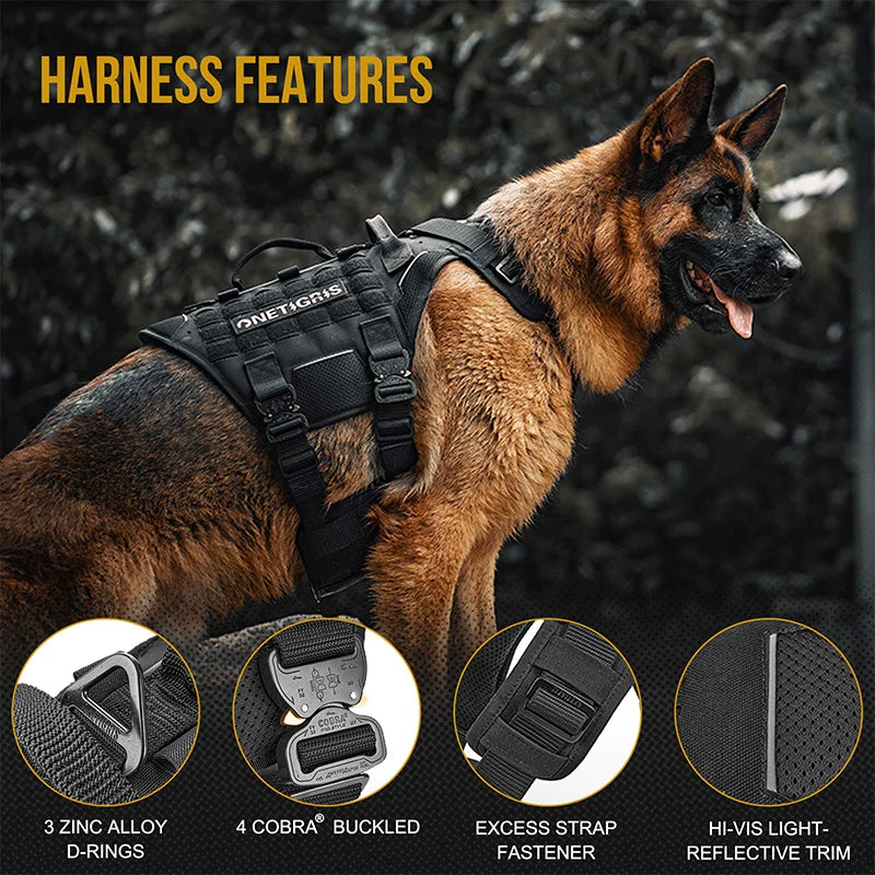 TORPEDO Adv. Cobra Buckle Harness