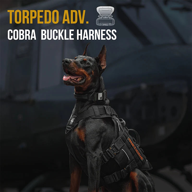 TORPEDO Adv. Cobra Buckle Harness