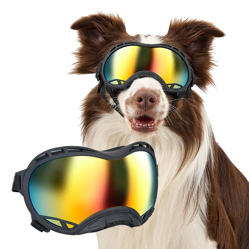 Dog Goggles