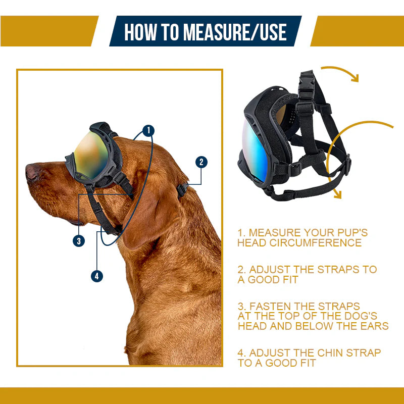 Dog Goggles