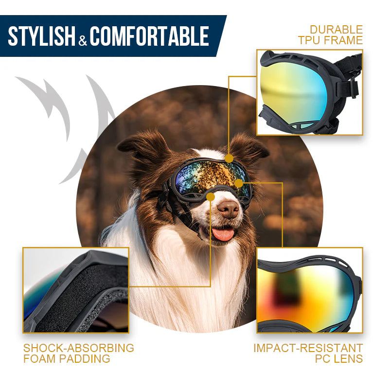 Dog Goggles