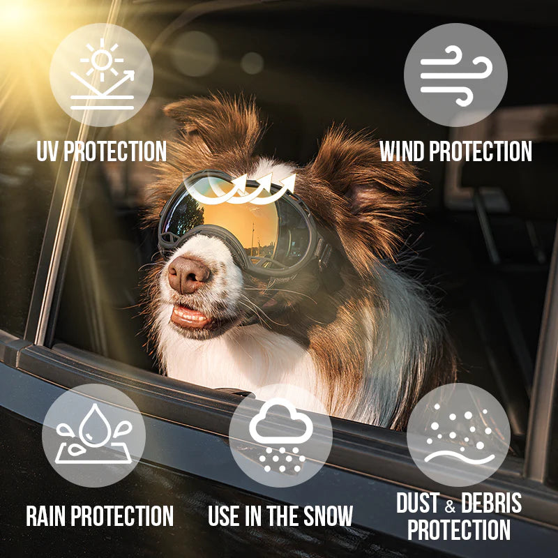 Dog Goggles