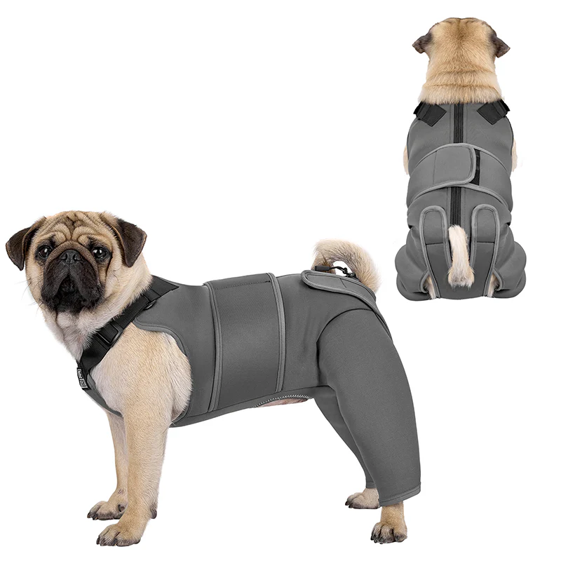 Pawrest Dog Recovery Suit