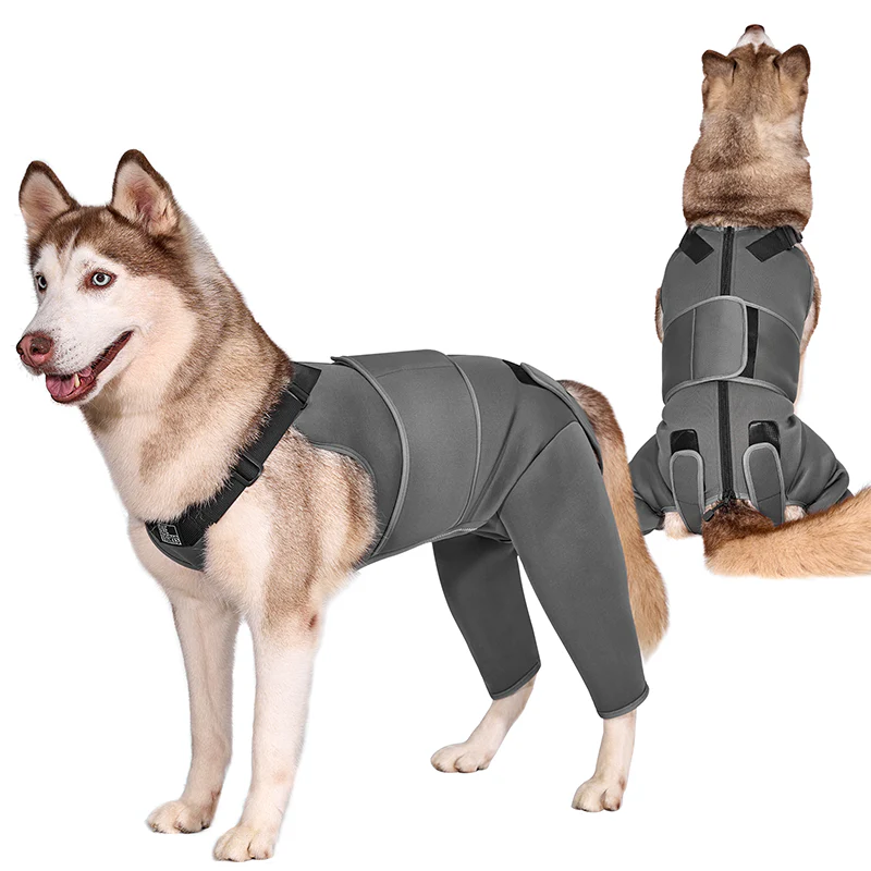 Pawrest Dog Recovery Suit