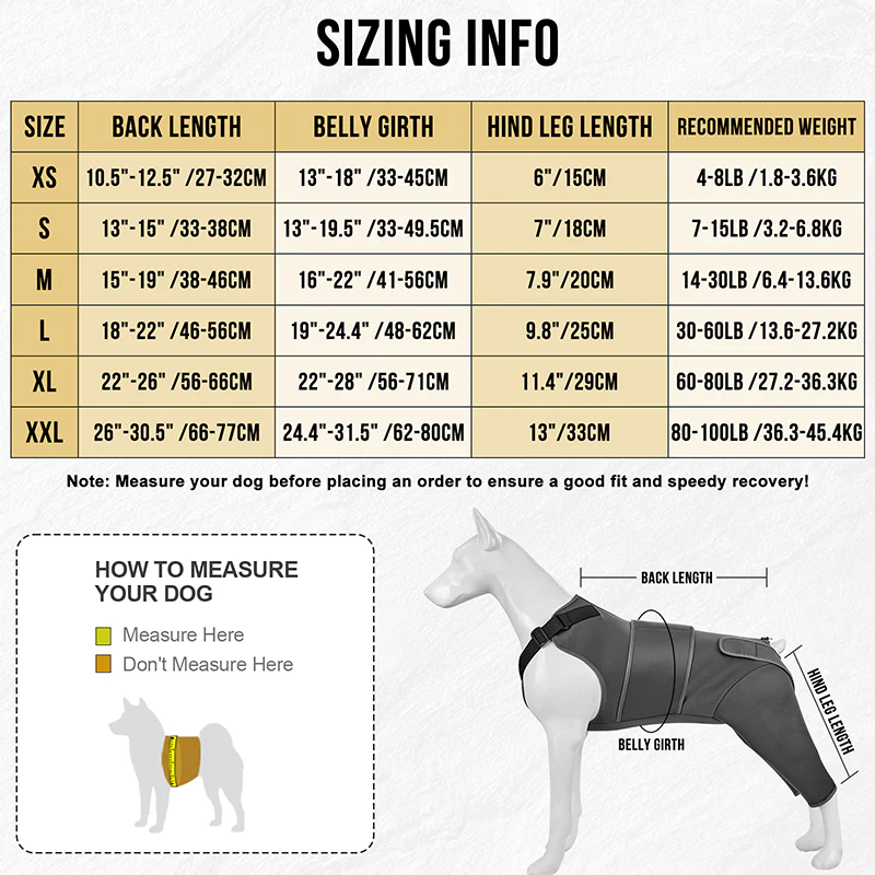 Pawrest Dog Recovery Suit