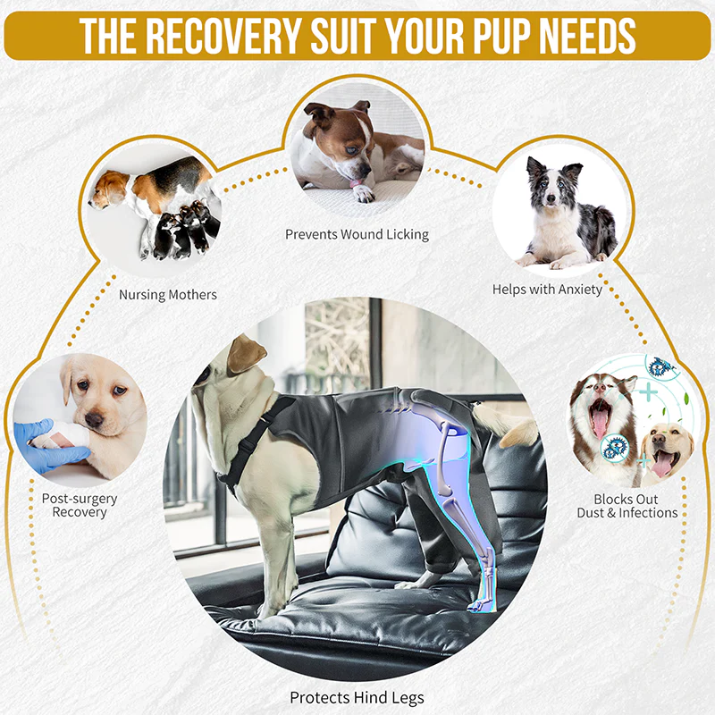 Pawrest Dog Recovery Suit