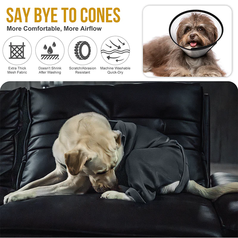 Pawrest Dog Recovery Suit