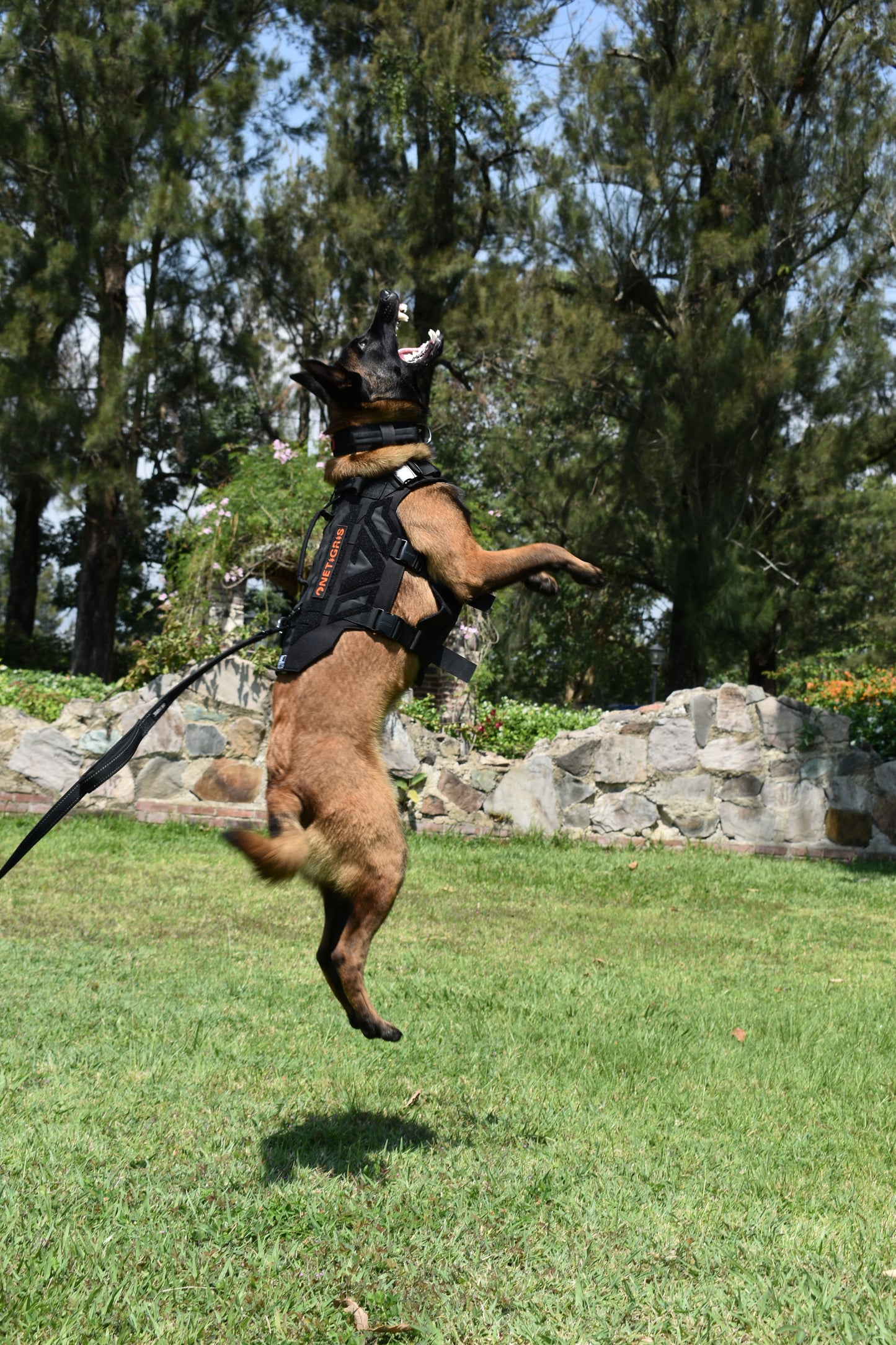 X Armor Tactical Dog Harness OneTigris