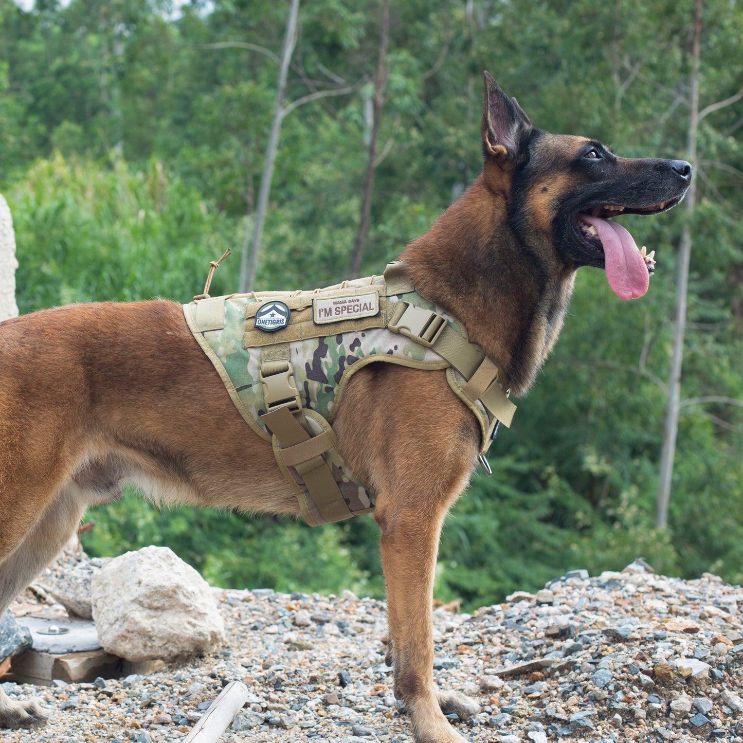 Fire Watcher Dog Harness 2.0 - Duraflex