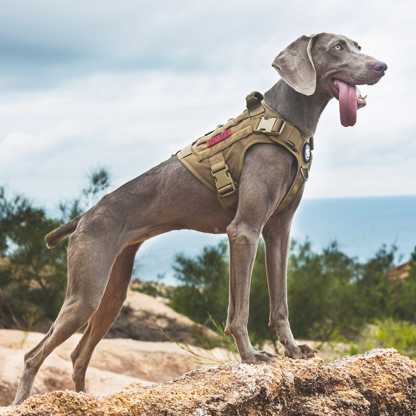Fire Watcher Dog Harness 2.0 - Duraflex