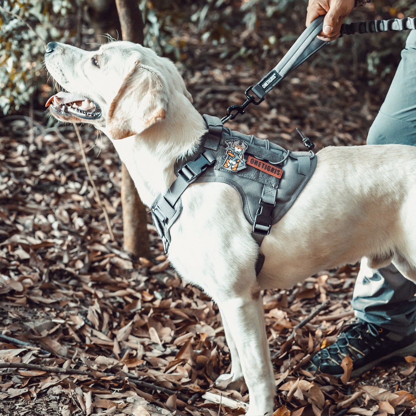 Fire Watcher Dog Harness 2.0 - Duraflex