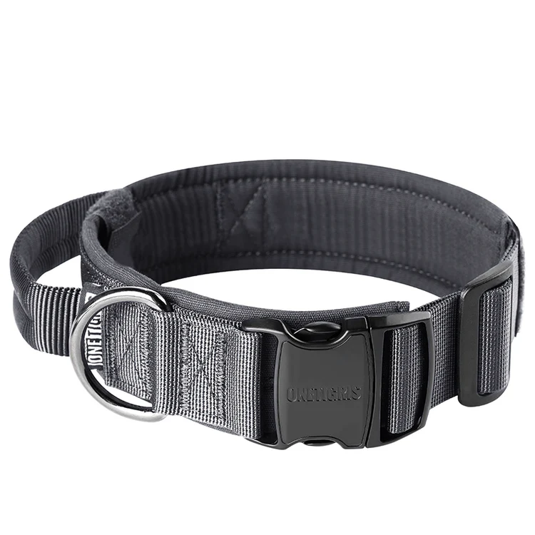 Dog Collar 08