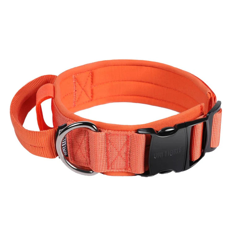 Dog Collar 08