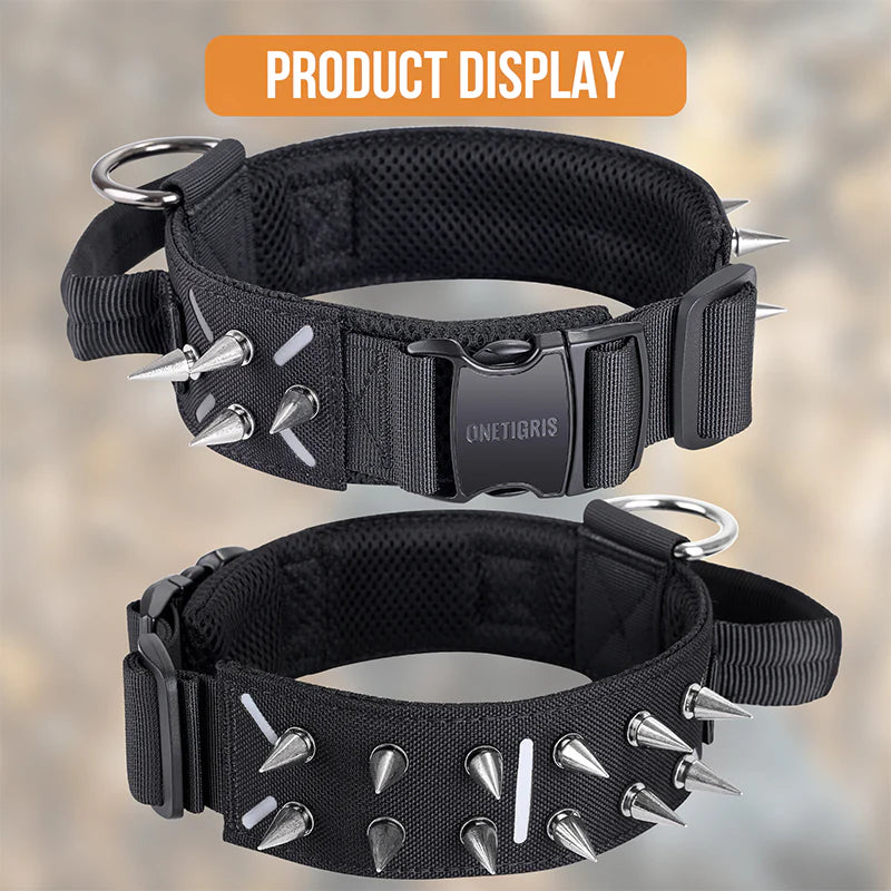 Spiked Dog Collar 13
