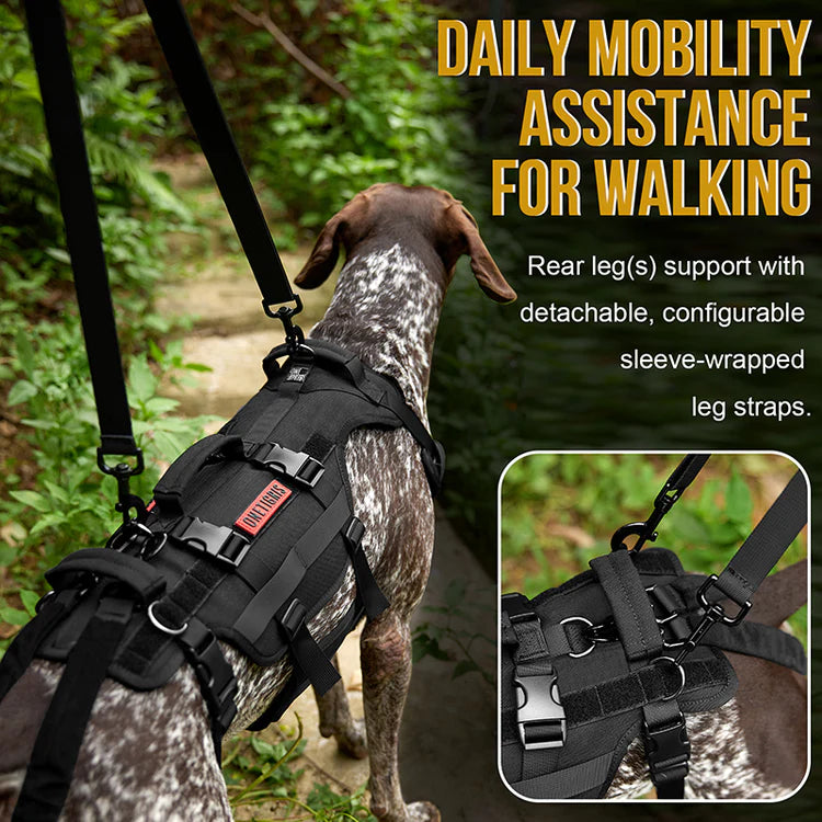 Invictus Full Body Lift Harness