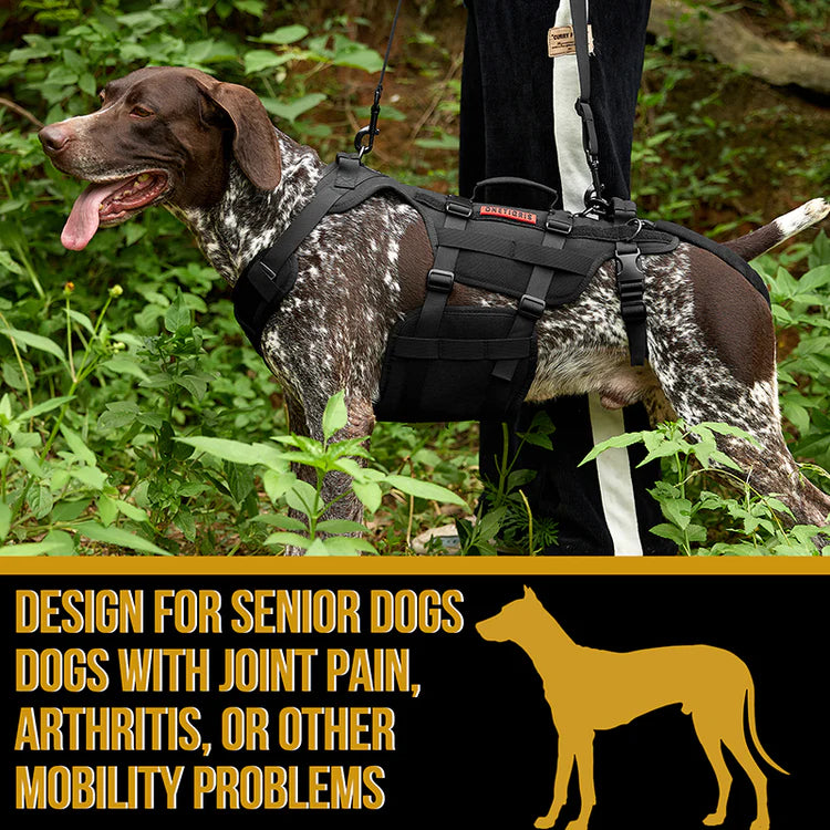 Invictus Full Body Lift Harness