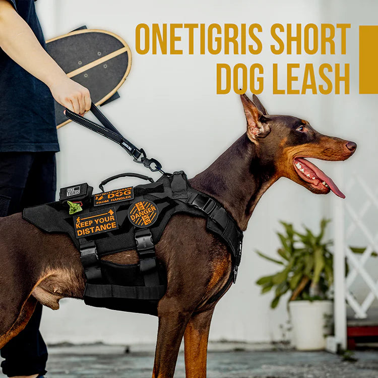 BOLT Short Dog Leash