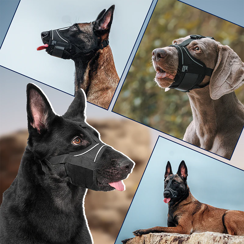 Soft Canine Muzzle 02
