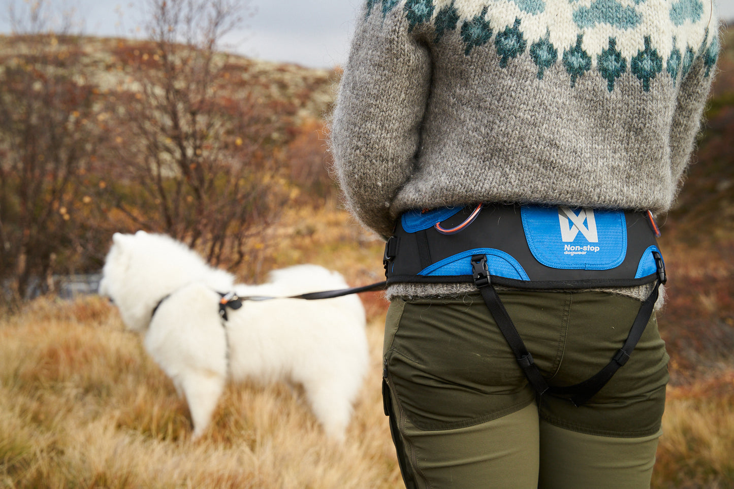 Ferd belt