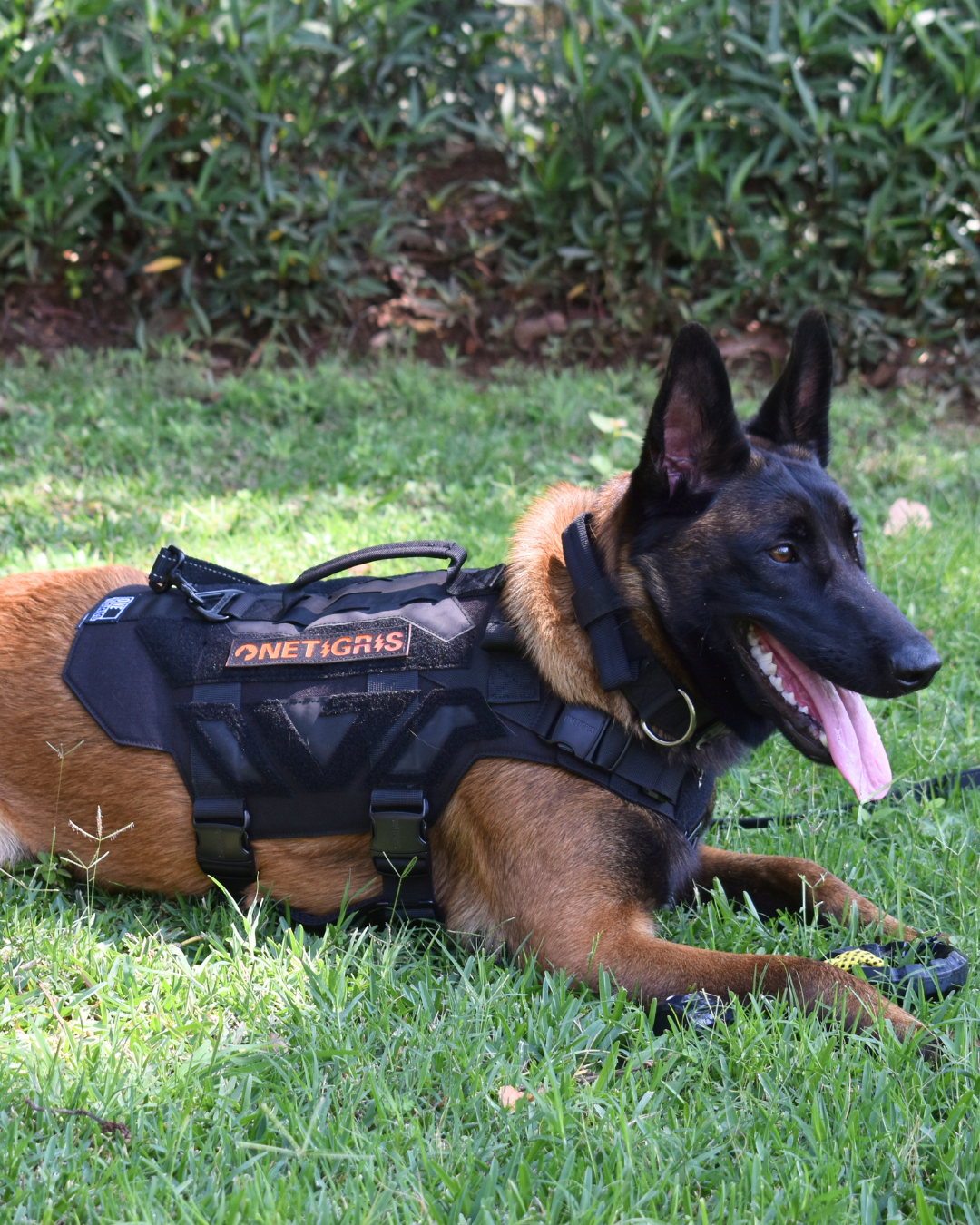 X Armor Tactical Dog Harness OneTigris