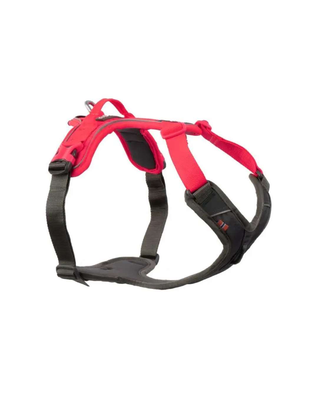 Ramble harness
