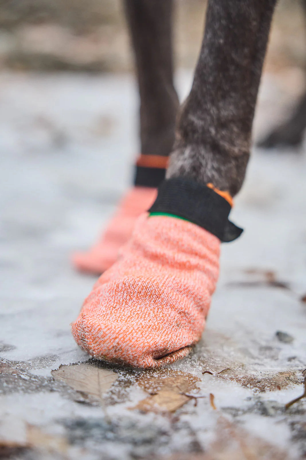 Protector light socks