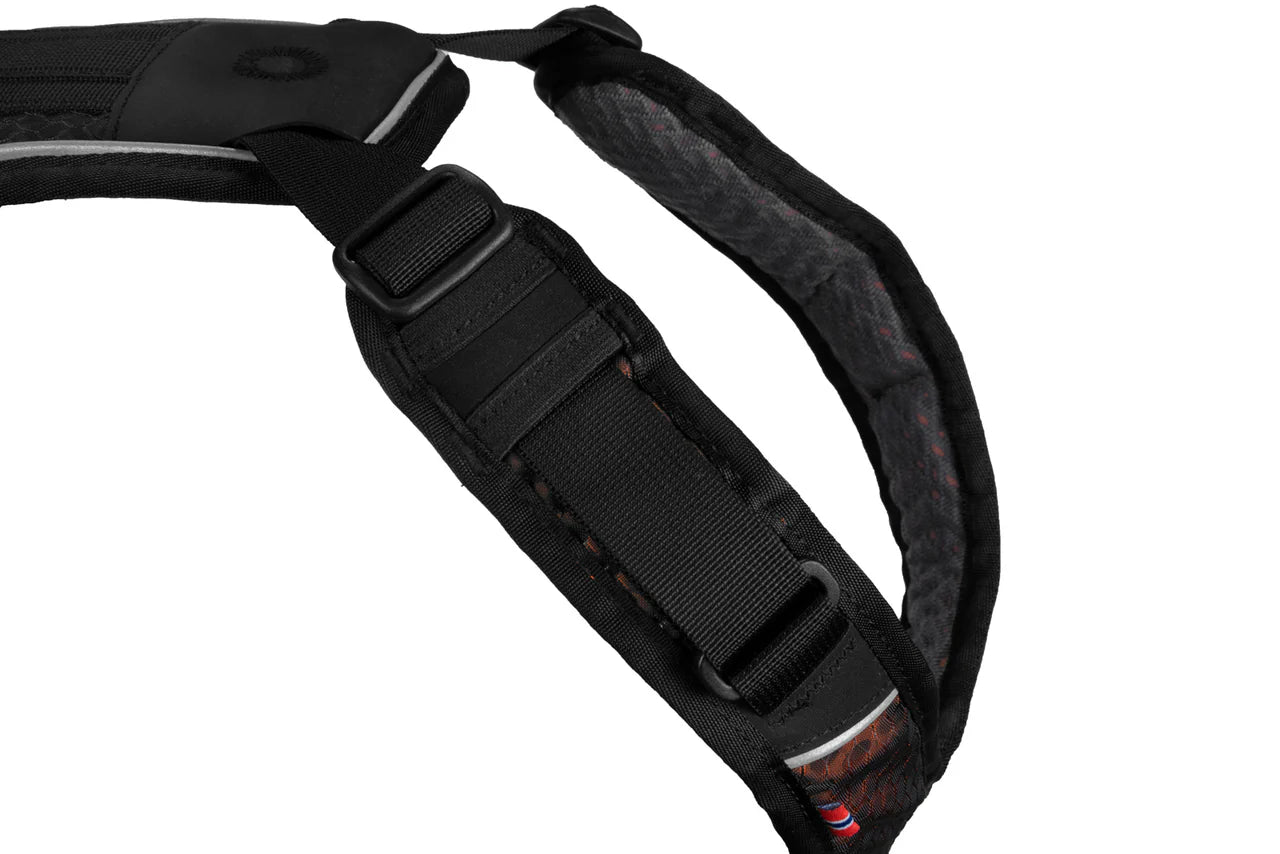 Rock harness