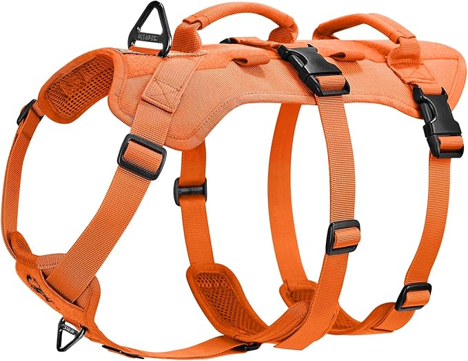T-BONE Tactical Harness