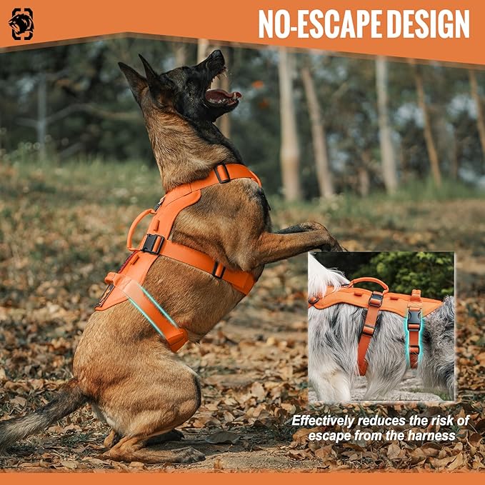 T-BONE Tactical Harness