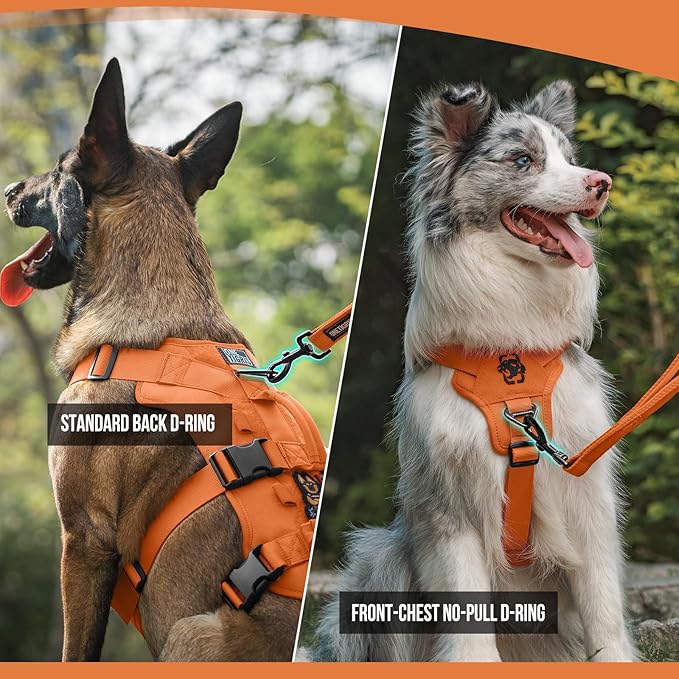 T-BONE Tactical Harness