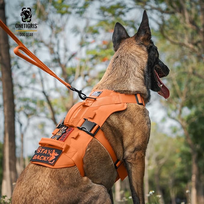 T-BONE Tactical Harness